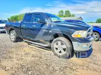 2009 Dodge RAM фото