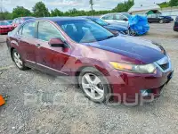 2009 Acura TSX фото