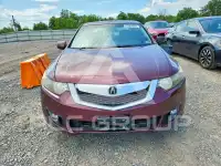 2009 Acura TSX фото