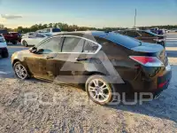 2009 Acura TL фото