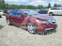 2009 Acura TL фото