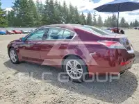 2009 Acura TL фото