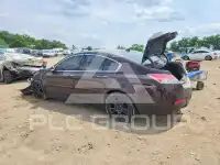 2009 Acura TL фото