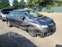 2009 Honda CIVIC фото