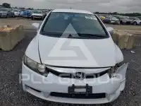 2009 Honda CIVIC фото