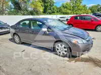 2009 Honda CIVIC photo