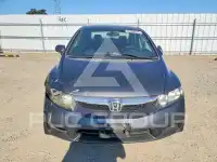 2009 Honda CIVIC фото