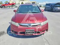 2009 Honda CIVIC фото