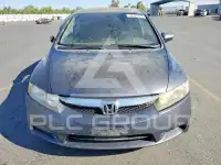 2009 Honda CIVIC фото
