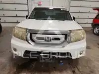 2009 Honda PILOT фото