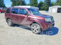 2009 Honda PILOT фото