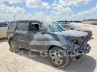 2009 Honda PILOT фото