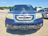 2009 Honda PILOT фото