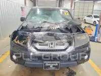 2009 Honda PILOT фото
