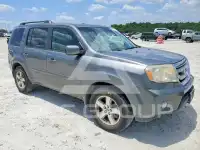 2009 Honda PILOT photo