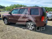 2009 Honda PILOT фото