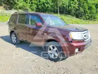 2009 Honda PILOT фото