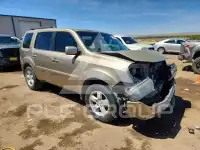 2009 Honda PILOT photo