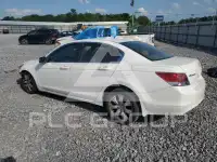 2009 Honda Accord фото