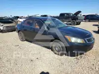 2009 Honda Accord фото