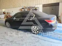 2009 Honda Accord фото