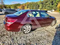 2009 Honda Accord фото