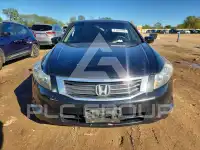 2009 Honda Accord photo