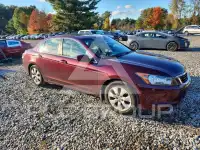 2009 Honda Accord фото