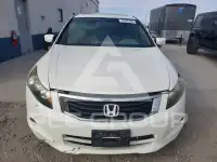 2009 Honda Accord фото