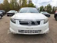 2009 Honda Accord photo
