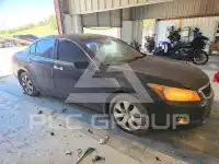 2009 Honda Accord фото
