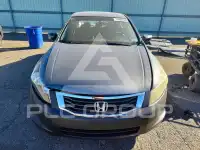 2009 Honda Accord фото
