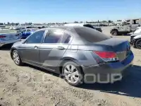 2009 Honda Accord фото
