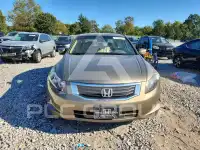 2009 Honda Accord photo