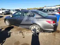 2009 Honda Accord фото