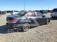2009 Honda Accord фото