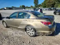 2009 Honda Accord photo