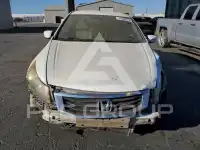 2009 Honda Accord фото
