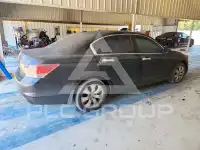 2009 Honda Accord фото