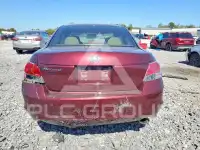 2009 Honda Accord фото