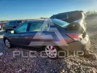 2009 Honda Accord фото