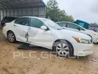 2009 Honda Accord photo