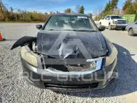 2009 Honda Accord фото