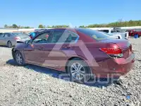 2009 Honda Accord фото