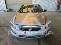 2009 Honda Accord фото