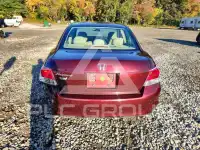 2009 Honda Accord фото