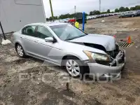 2009 Honda Accord фото