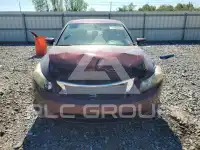 2009 Honda Accord фото