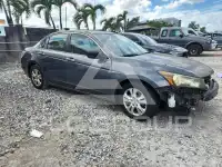 2009 Honda Accord фото