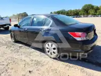 2009 Honda Accord фото